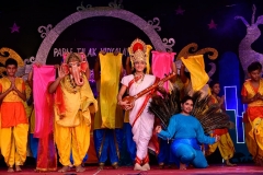 Annual-Function-2019-11