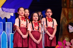 Annual-Function-2019-14