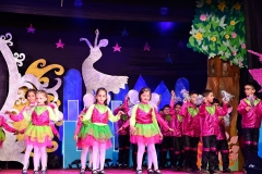 Annual-Function-2019-15