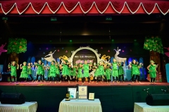 Annual-Function-2019-27