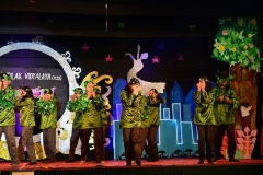 Annual-Function-2019-47