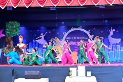 Annual-Function-2019-5