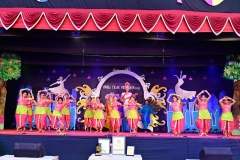 Annual-Function-2019-6