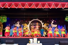 Annual-Function-2019-7