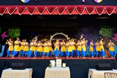 Annual-Function-2019-9