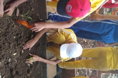 Field-Trip-of-Std-VII-VIII.-to-wada-22