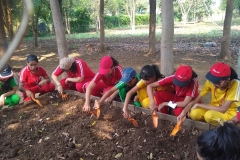 Field-Trip-of-Std-VII-VIII.-to-wada-23