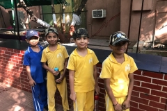 Picnic-of-Std-III-IV-6